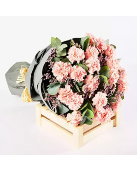 Peaceful Pink Carnations Bouquet Standard