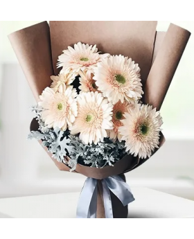 Peach Gerbera