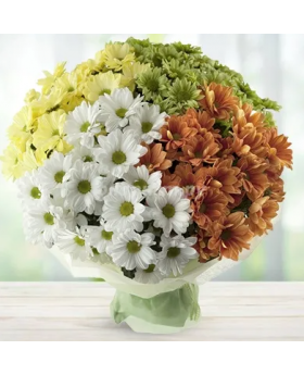 Bouquet Of Chrysamthmums