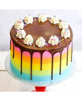 Belgian Choco Vanilla Rainbow Cake
